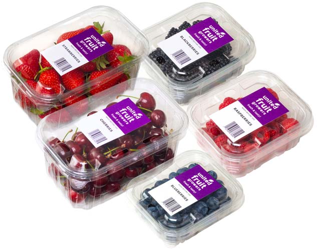 Punnets_Berries-Cherries2