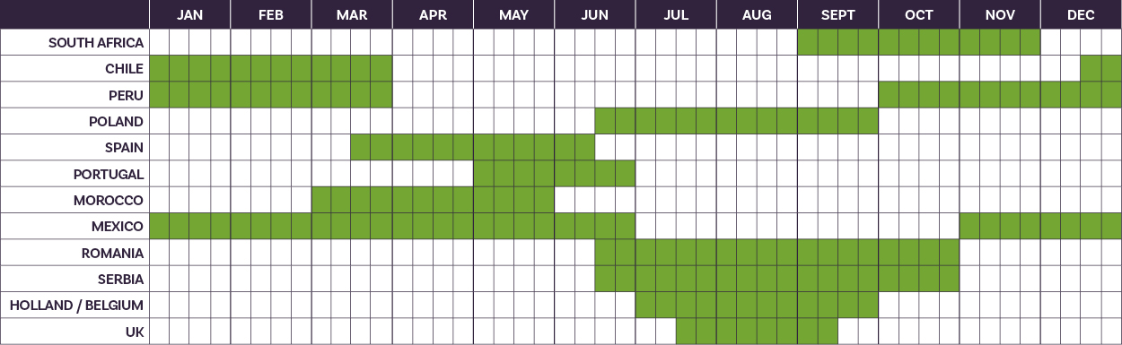 United-fruit-growers-calender-Blueberries